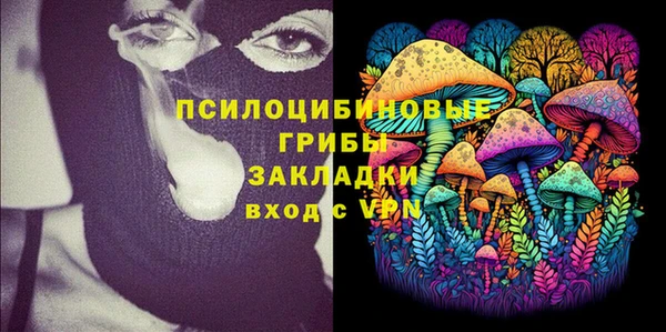гашик Алексин