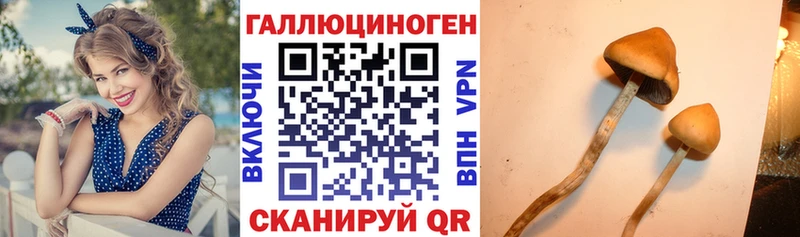 Псилоцибиновые грибы мухоморы  Луза 